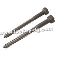 Stainless Steel Hex Head Lag Screw Wood Screw Passivated